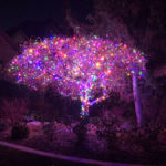 northern-utah-christmas-light-tree-decoration