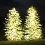 northern-utah-christmas-light-tree