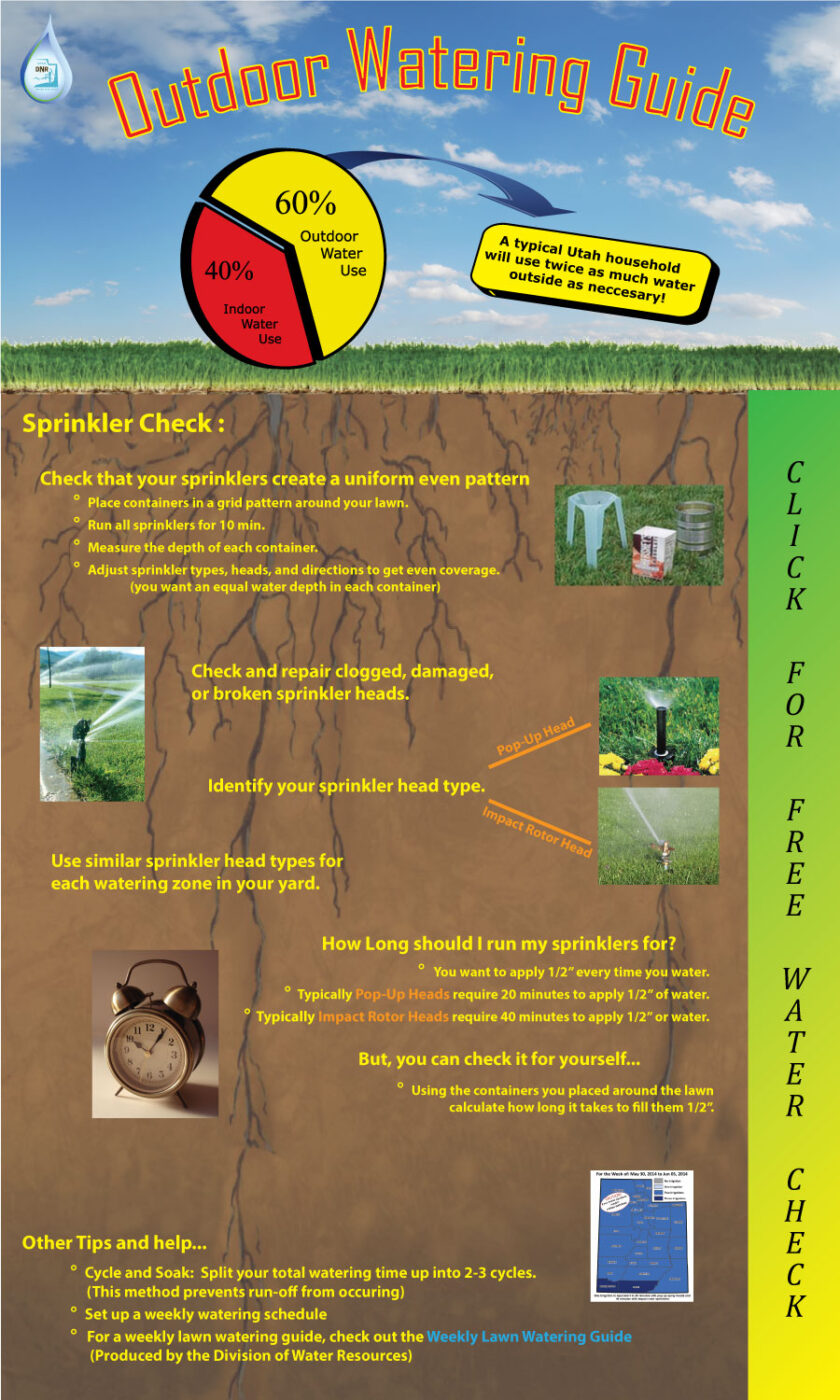 Outdoor Watering Guide Shamrock Pest and Lawn